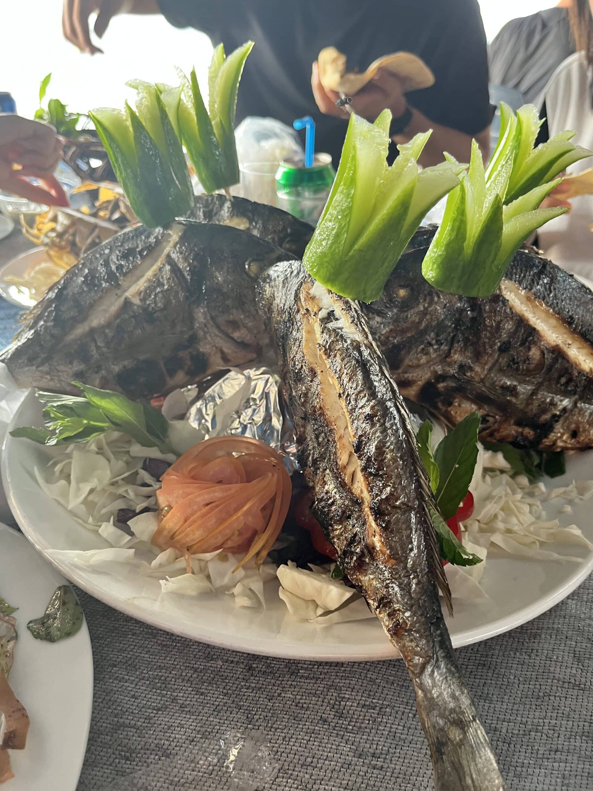 Top 5 Syrian Foods You Should Try Syria Travel & Tours